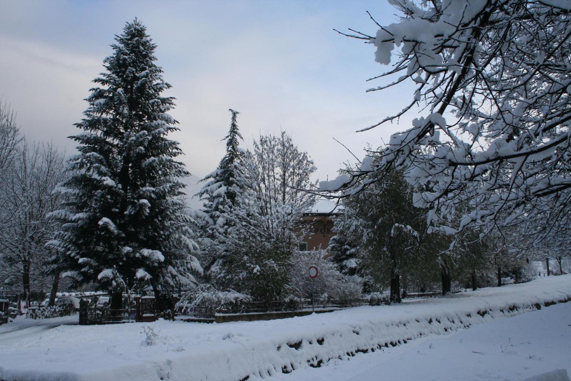 Garden House - Hotel Sport Levico Terme Exteriör bild